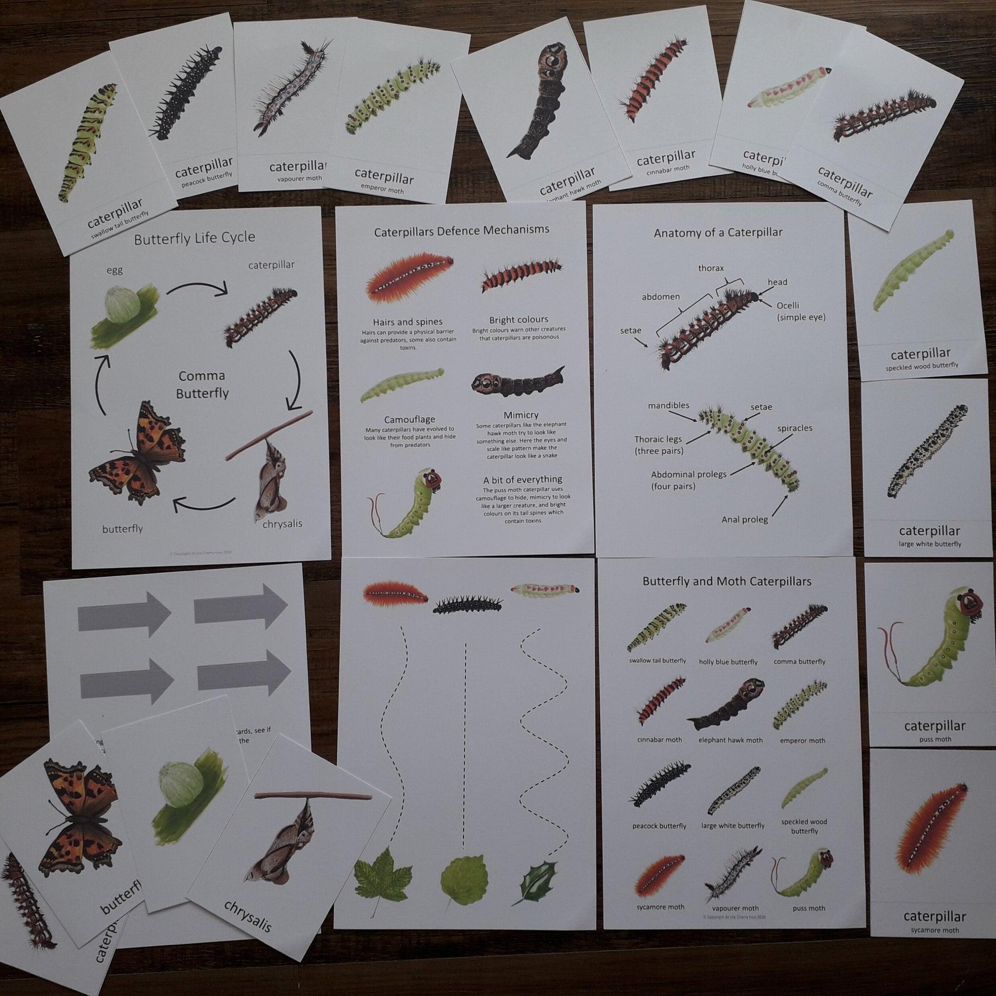 Caterpillar pack - PDF - At the Cherry Tree
