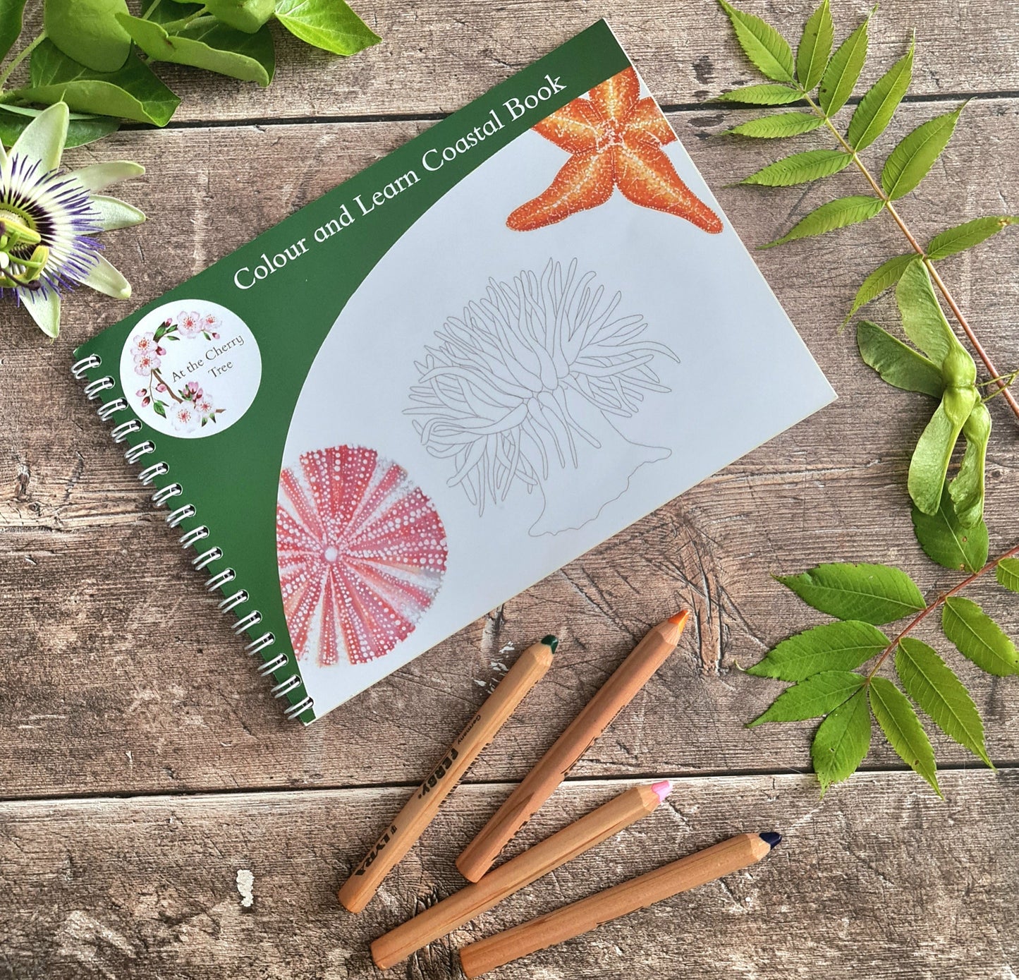 Colour and Learn - Coastal Wildlife - At the Cherry Tree