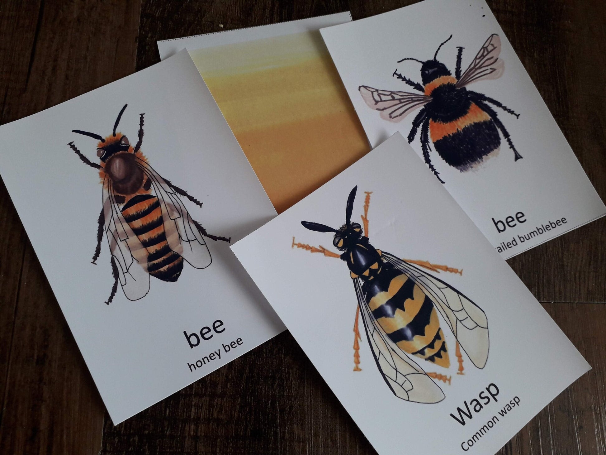 Colour matching cards - At the Cherry Tree