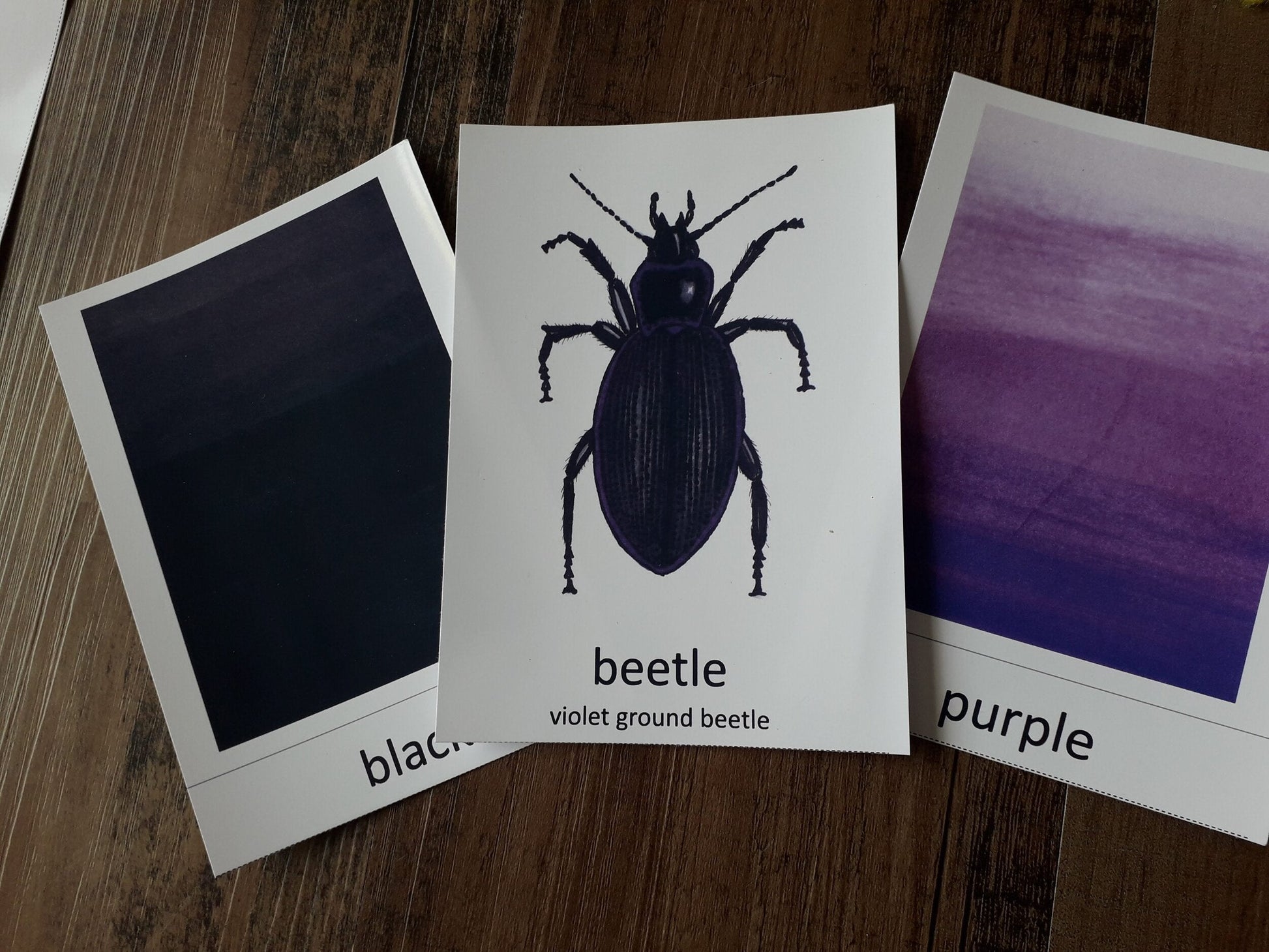 Colour matching cards - At the Cherry Tree