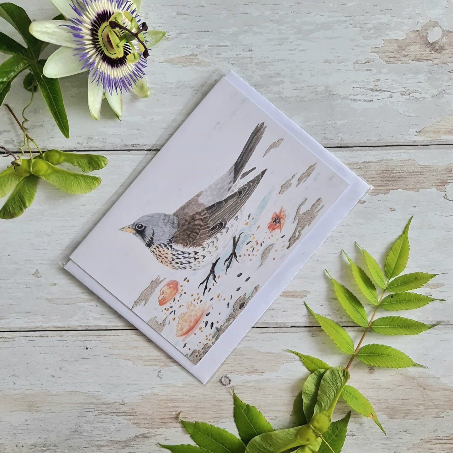 Fieldfare - Greetings Card - At the Cherry Tree