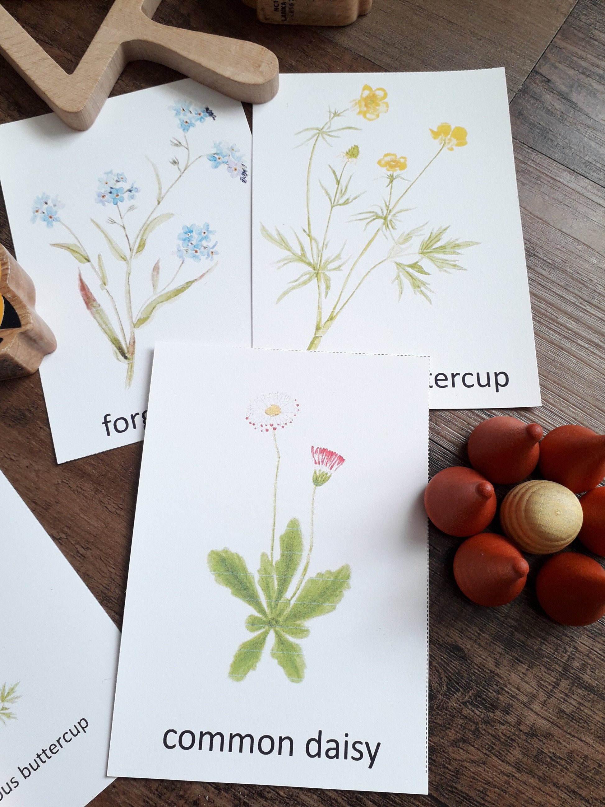 Garden Wildflower Montessori pack - PDF - At the Cherry Tree