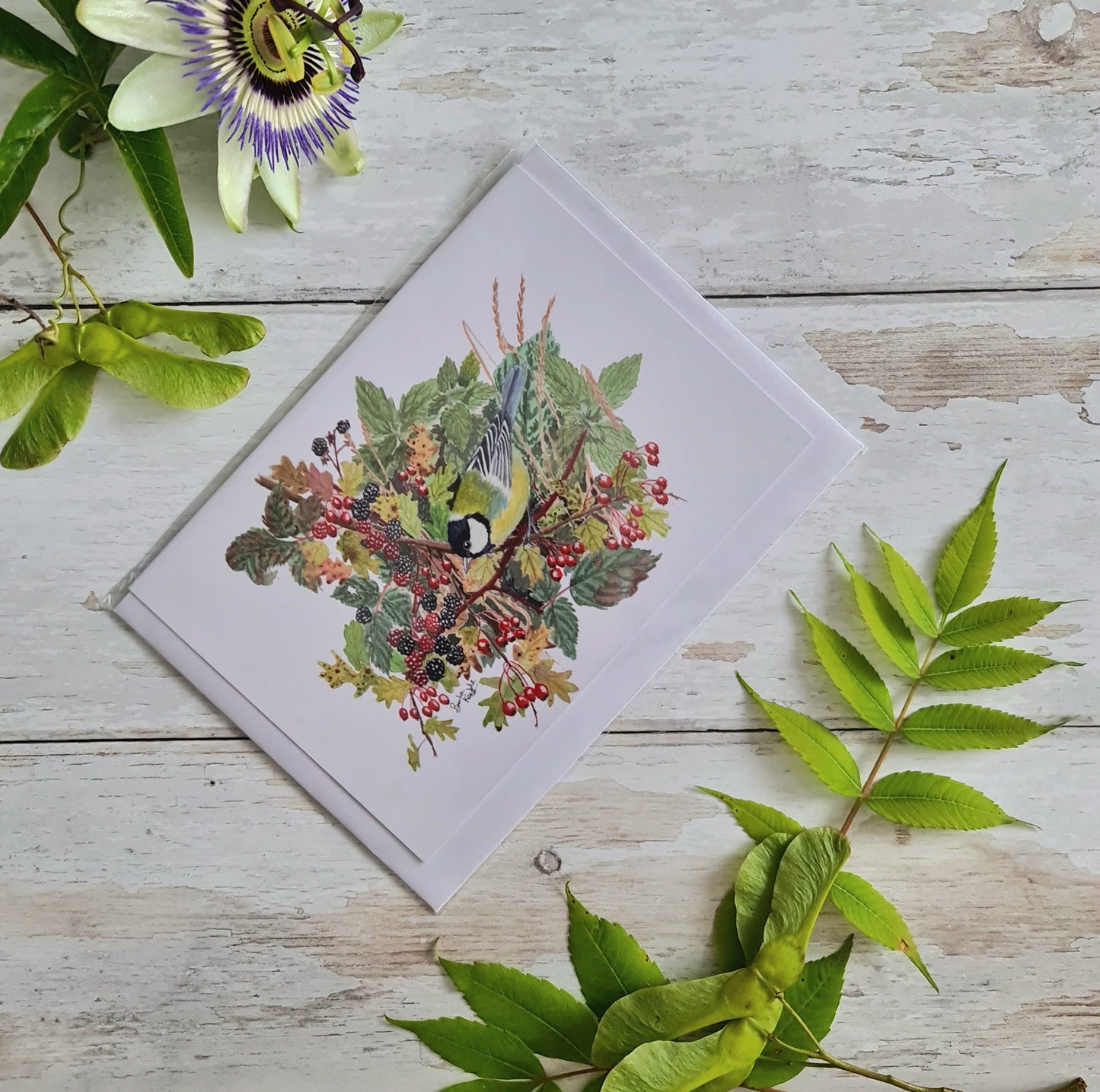 Great Tit in a Hedgerow - Greetings Card - At the Cherry Tree