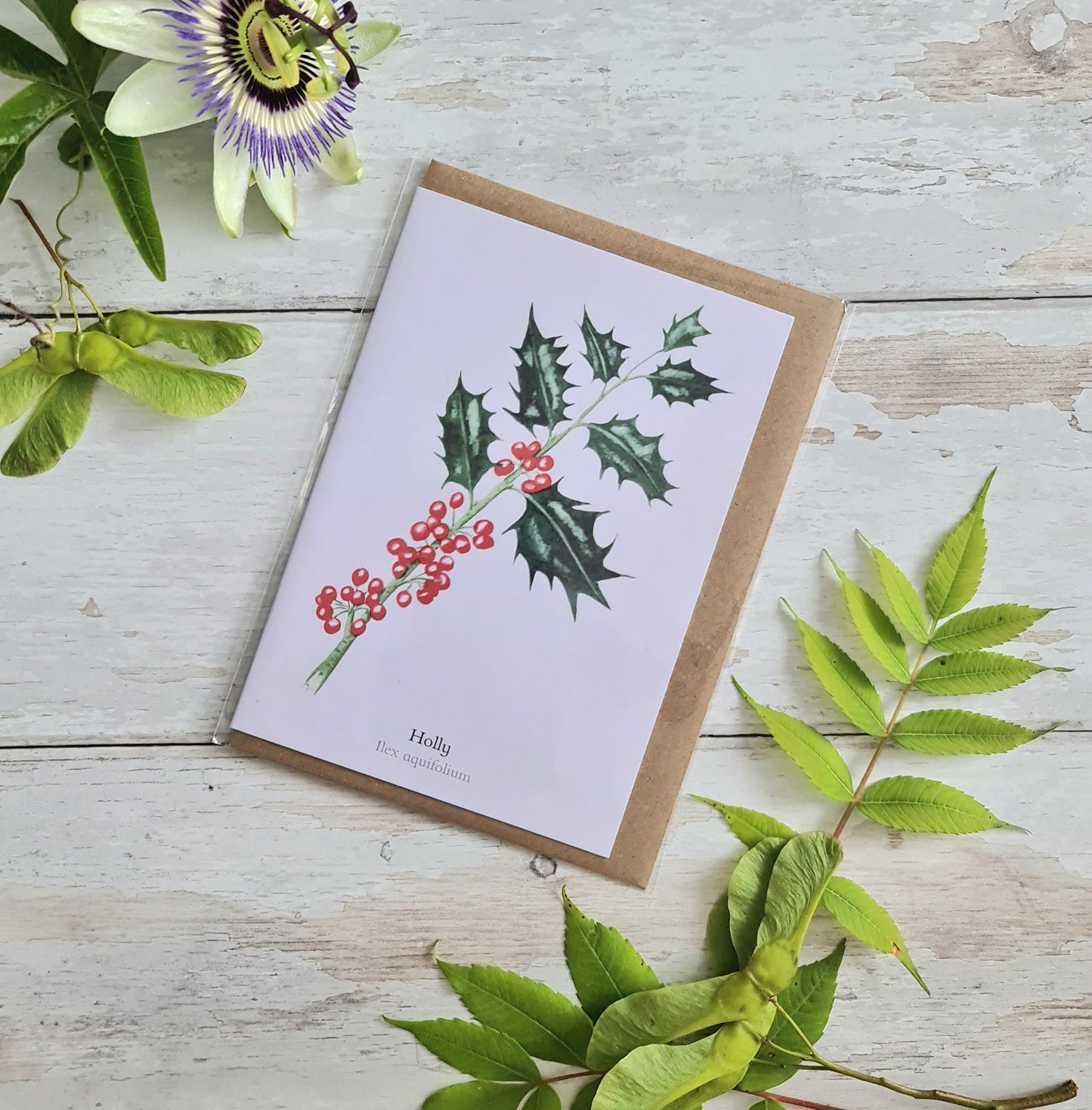 Holly - Greetings Card - At the Cherry Tree