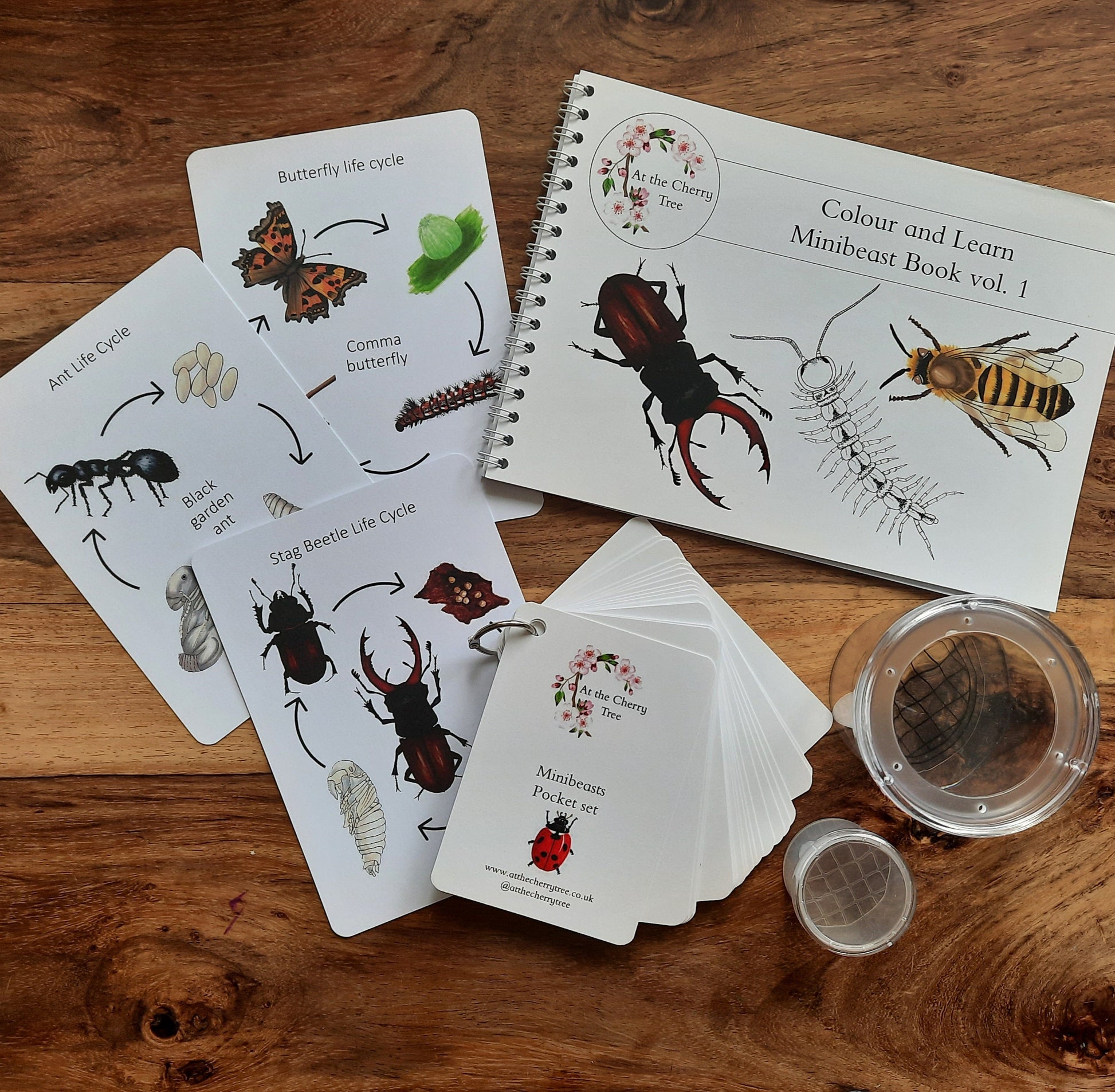 Minibeast bundle - At the Cherry Tree