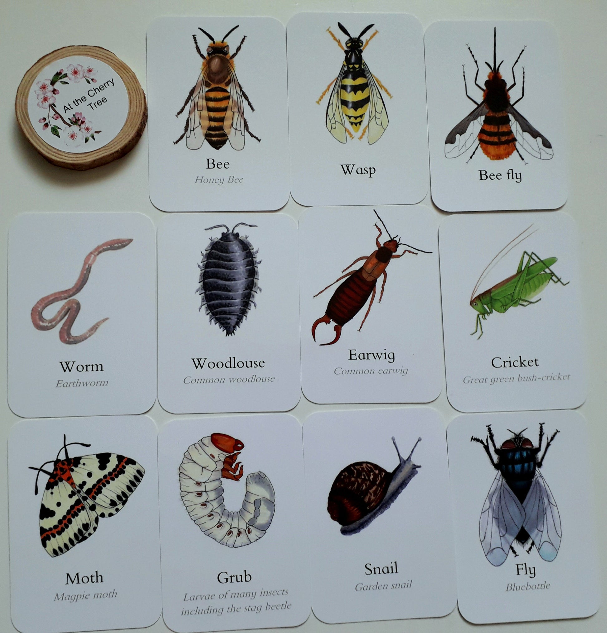 Minibeast - Pocket Set - At the Cherry Tree