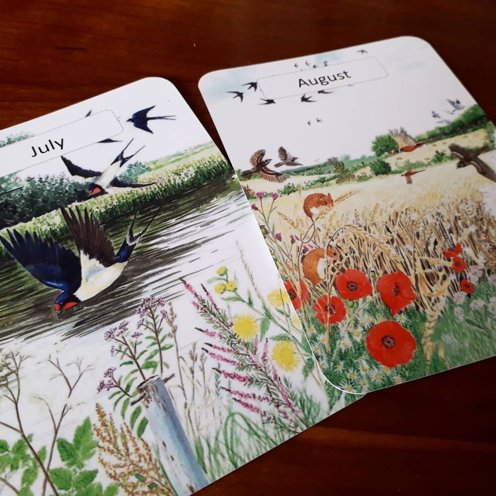Monthly Cards - Printed 12 pack - At the Cherry Tree