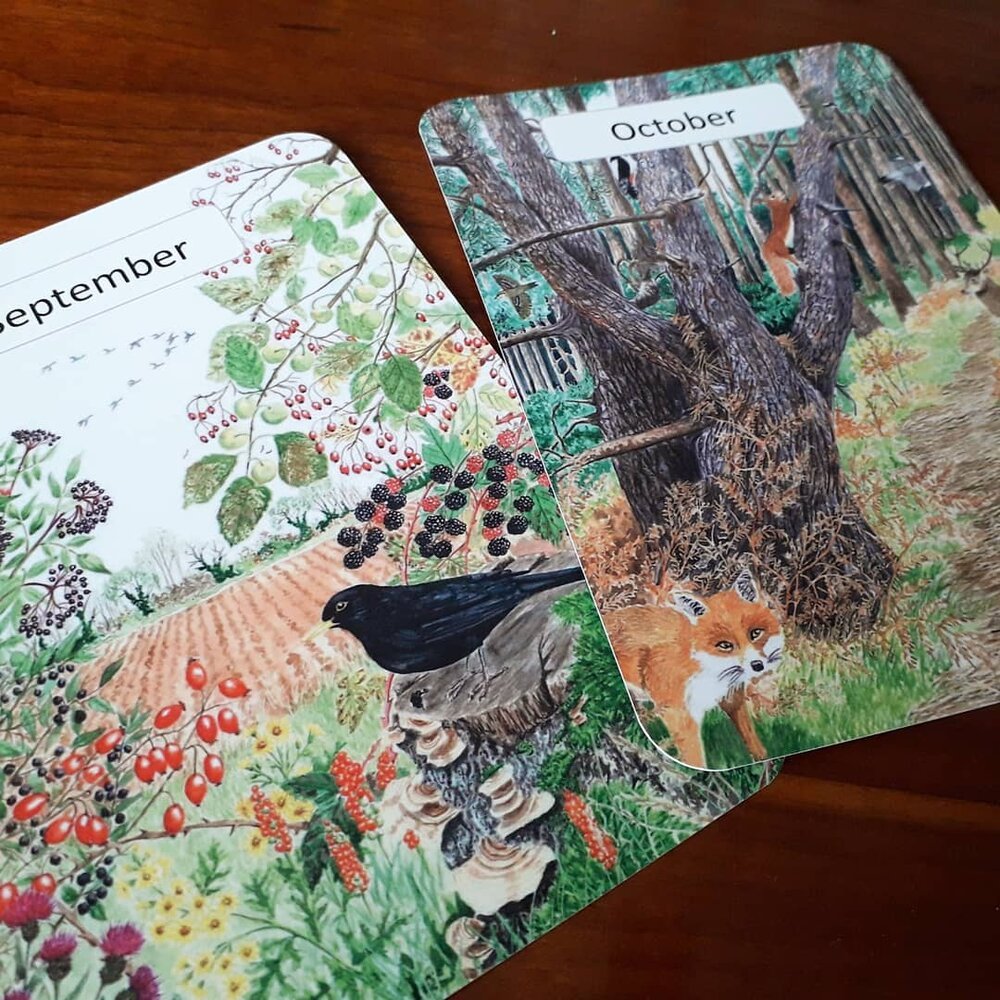 Monthly Cards - Printed 12 pack - At the Cherry Tree
