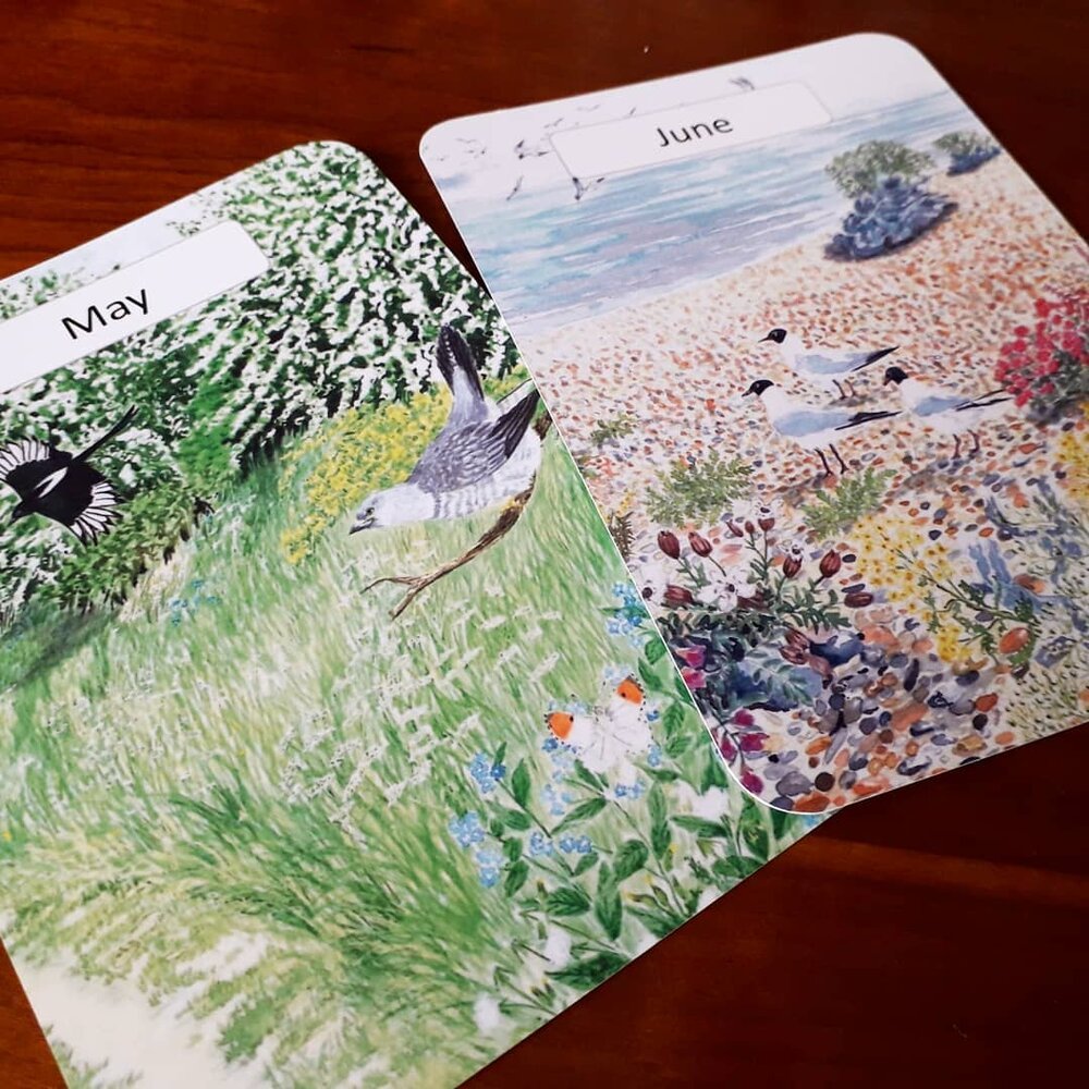 Monthly Cards - Printed 12 pack - At the Cherry Tree
