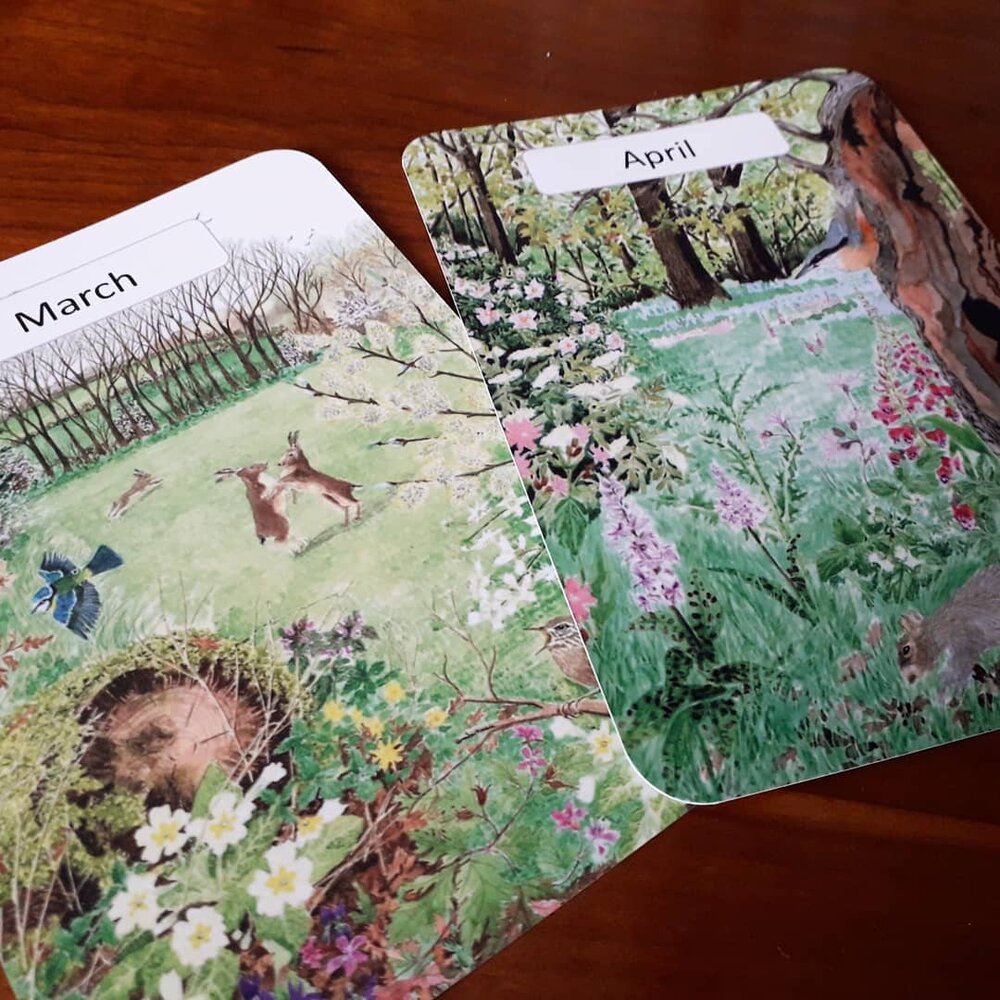Monthly Cards - Printed 12 pack - At the Cherry Tree