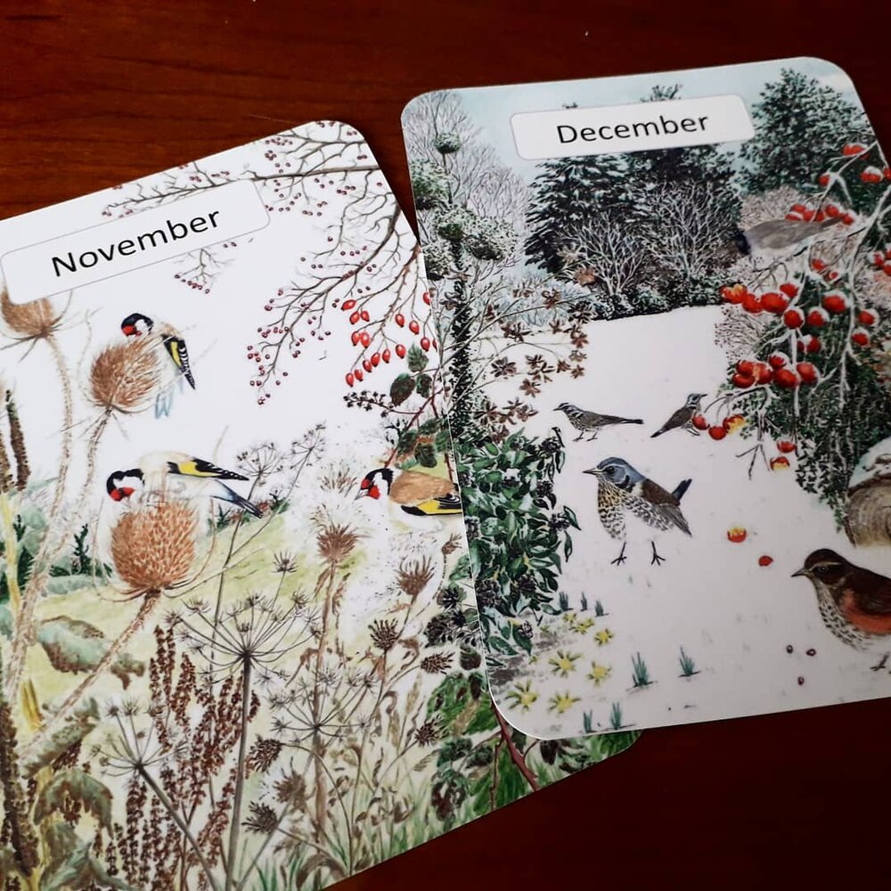 Monthly Cards - Printed 12 pack - At the Cherry Tree