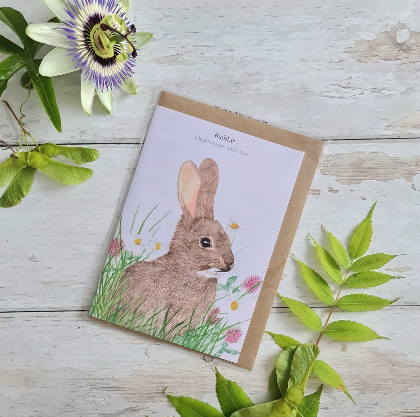 Rabbit - Greetings Card - At the Cherry Tree