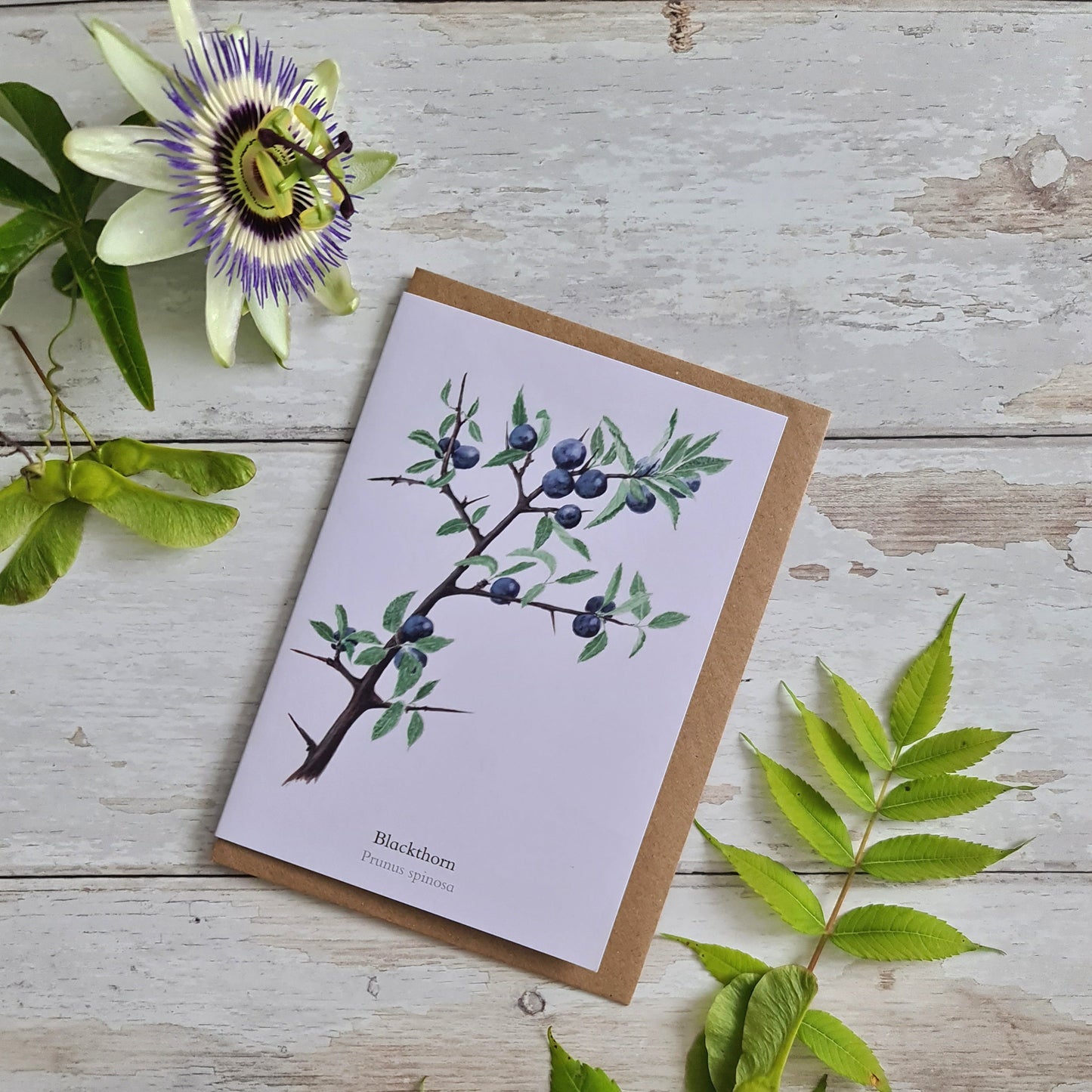 Sloe - Greetings Card - At the Cherry Tree