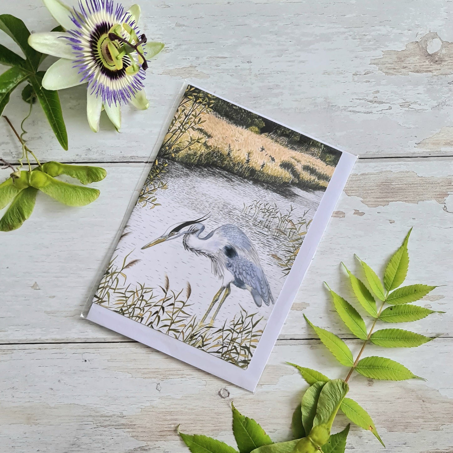 Wading Heron - Greetings Card - At the Cherry Tree
