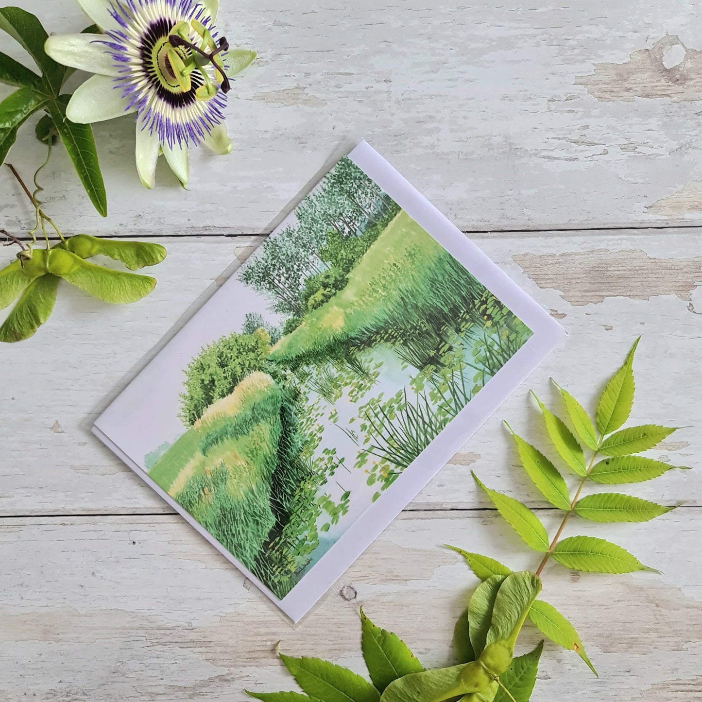 Waterlillies - Greetings Card - At the Cherry Tree