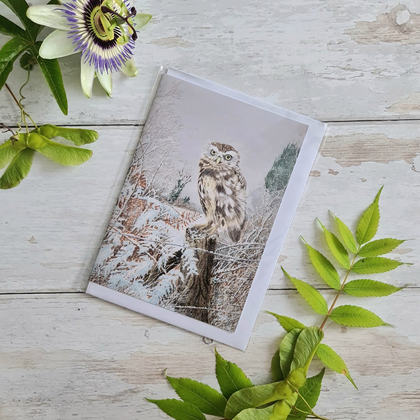 Winter Chill - Greetings Card - At the Cherry Tree