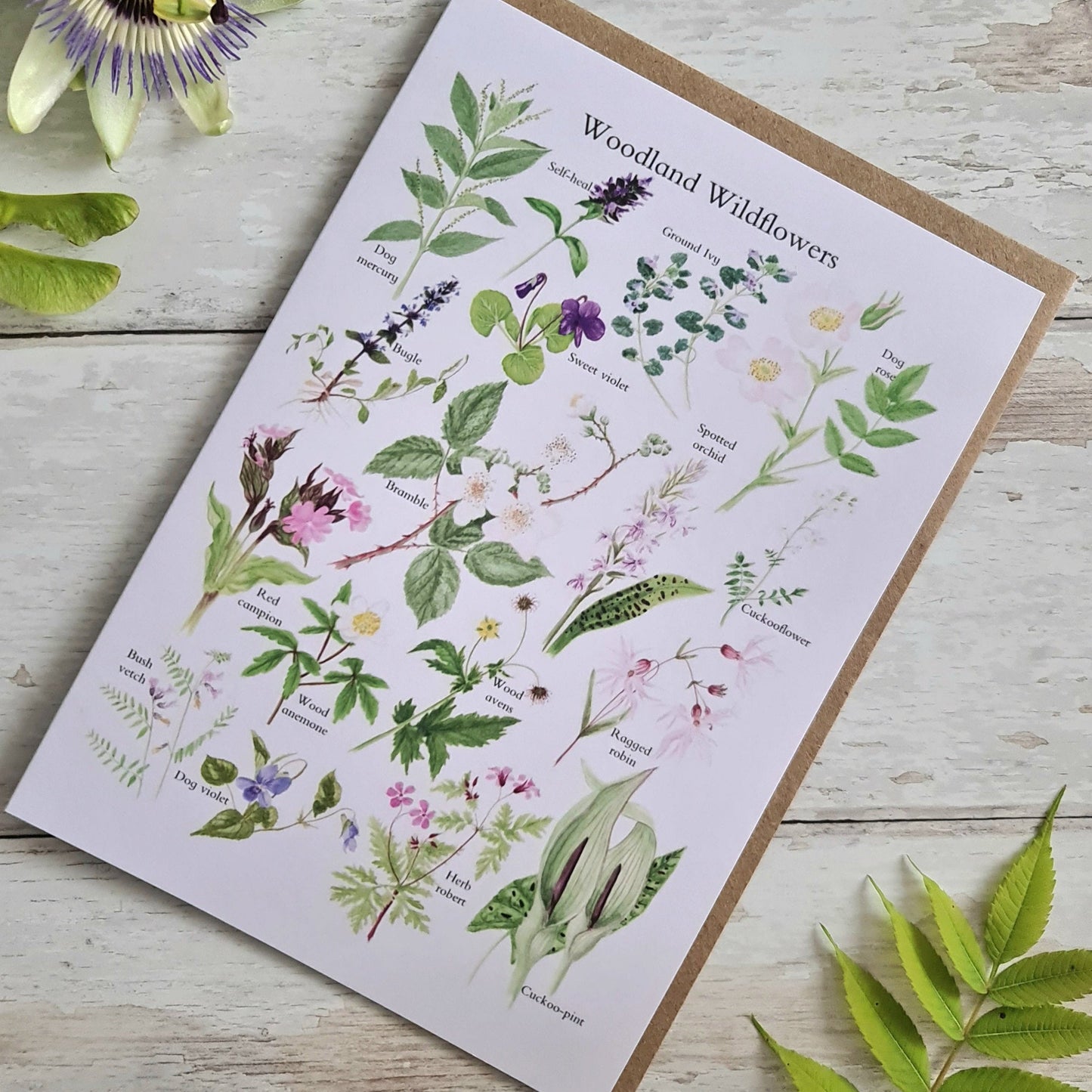 Woodland Wildflowers - Greetings Card - At the Cherry Tree