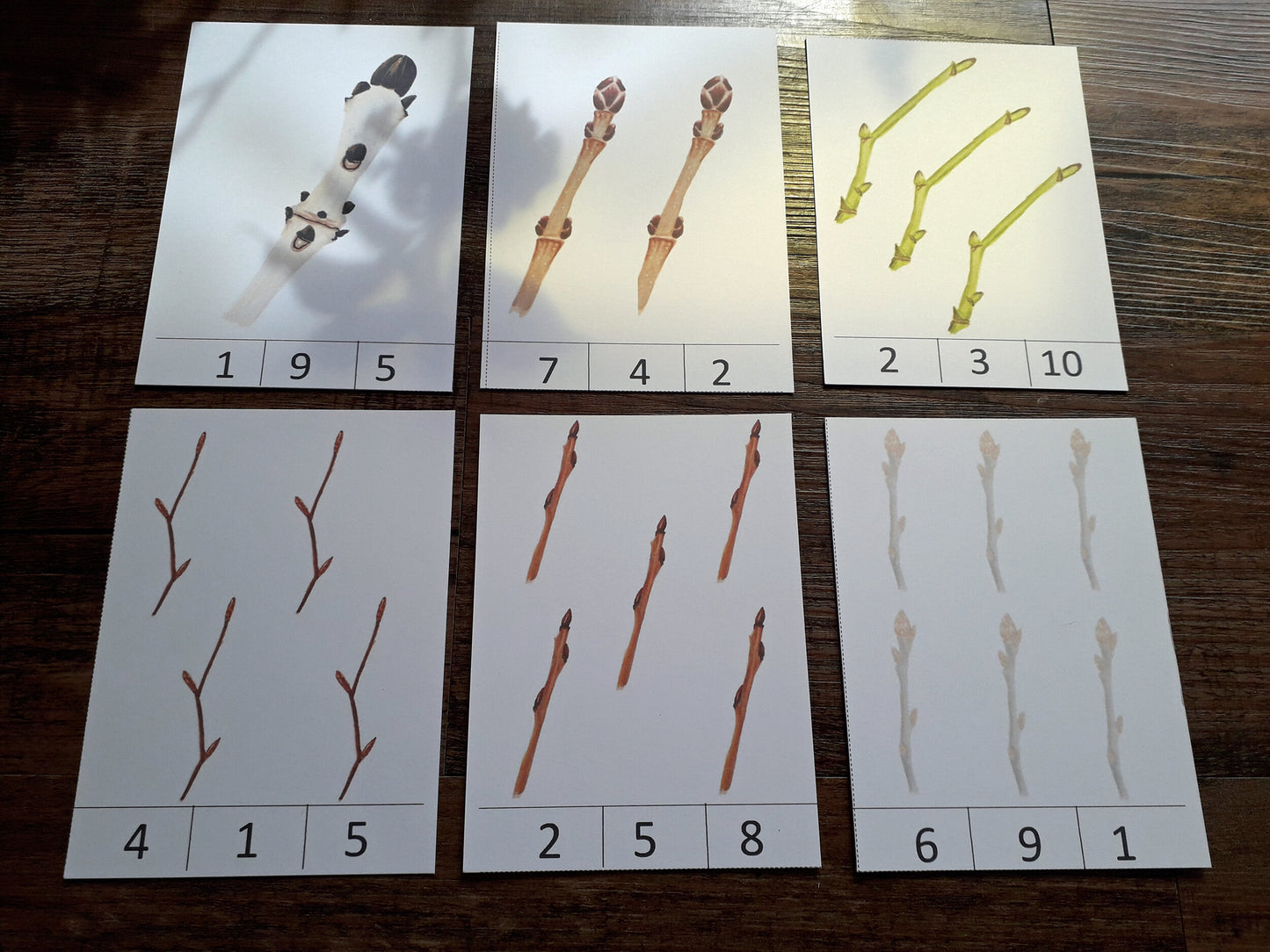 Winter Twigs Montessori pack - PDF
