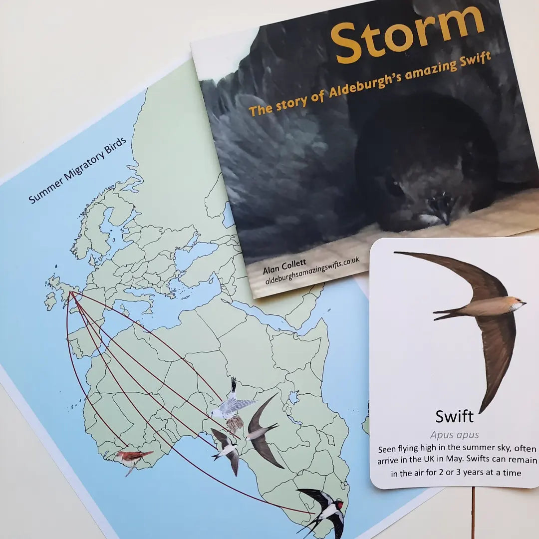 Summer migration map