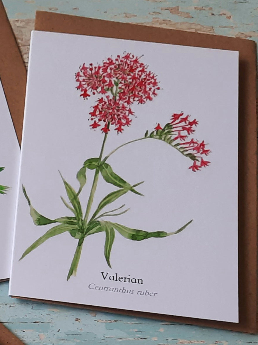 Valerian - Greetings Card
