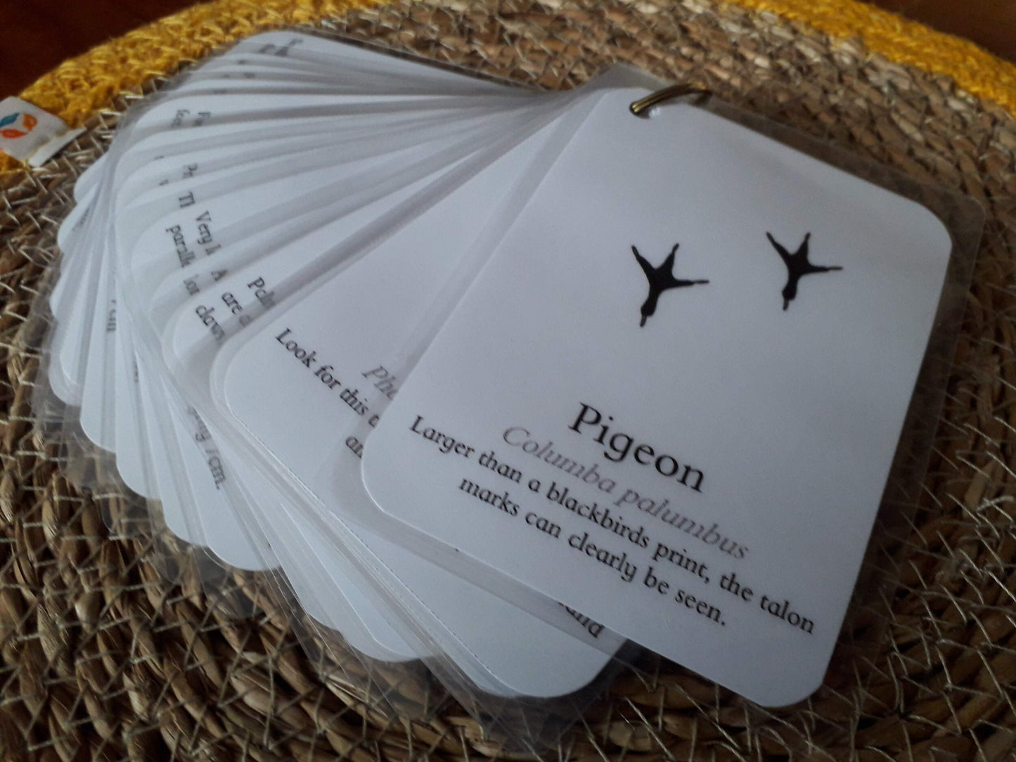 Track Identification - PDF - At the Cherry Tree