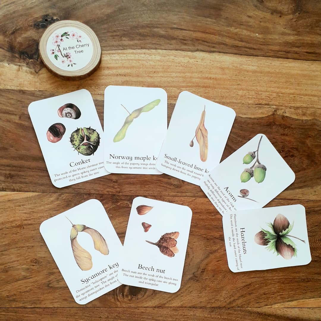 Tree seeds and nuts - PDF - At the Cherry Tree