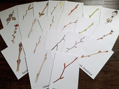 Winter Twigs Montessori pack - PDF