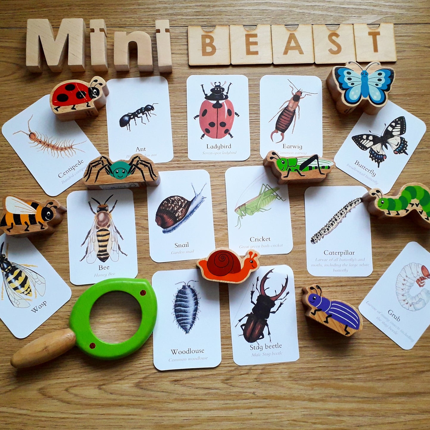 Updated minibeast flashcards - PDF - At the Cherry Tree
