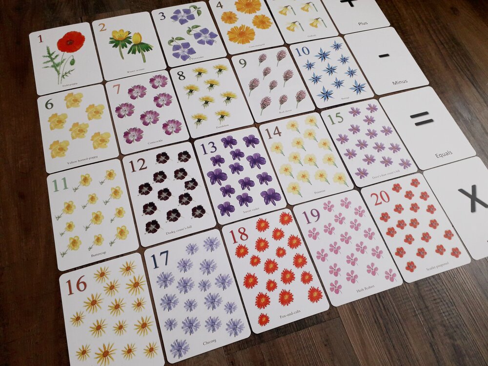 Wildflower Counting Cards - Printed