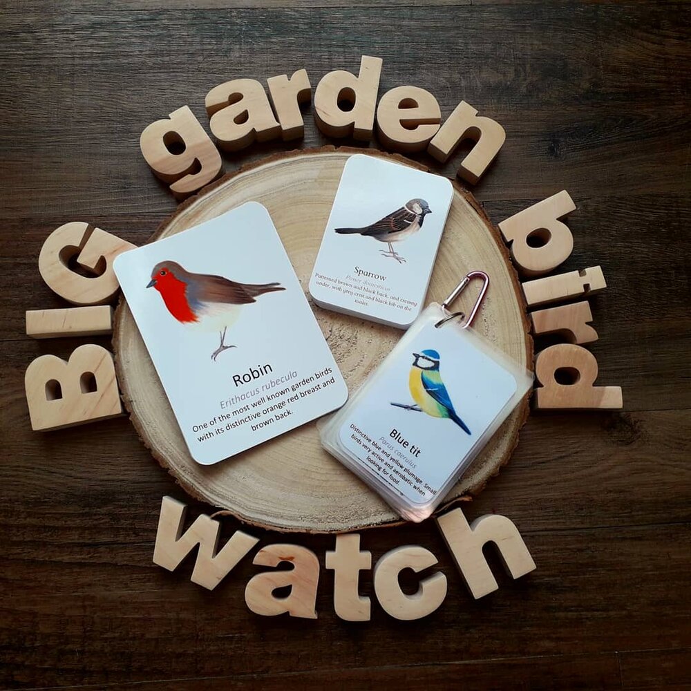 Garden Bird - Pocket Set