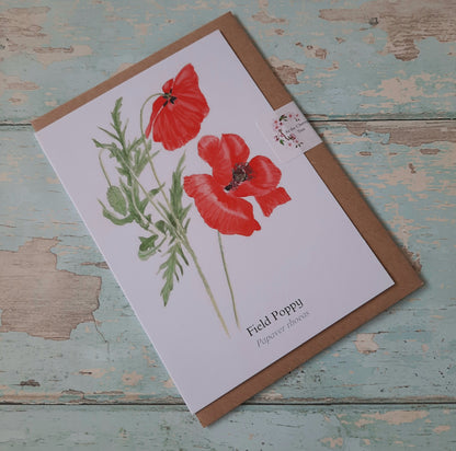 Poppy - Greetings Card