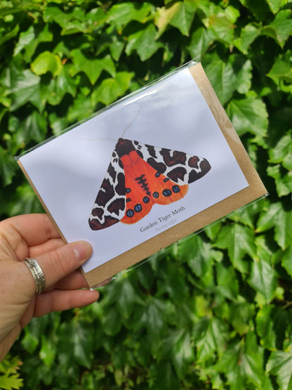 Garden Tiger Moth - Greetings Card