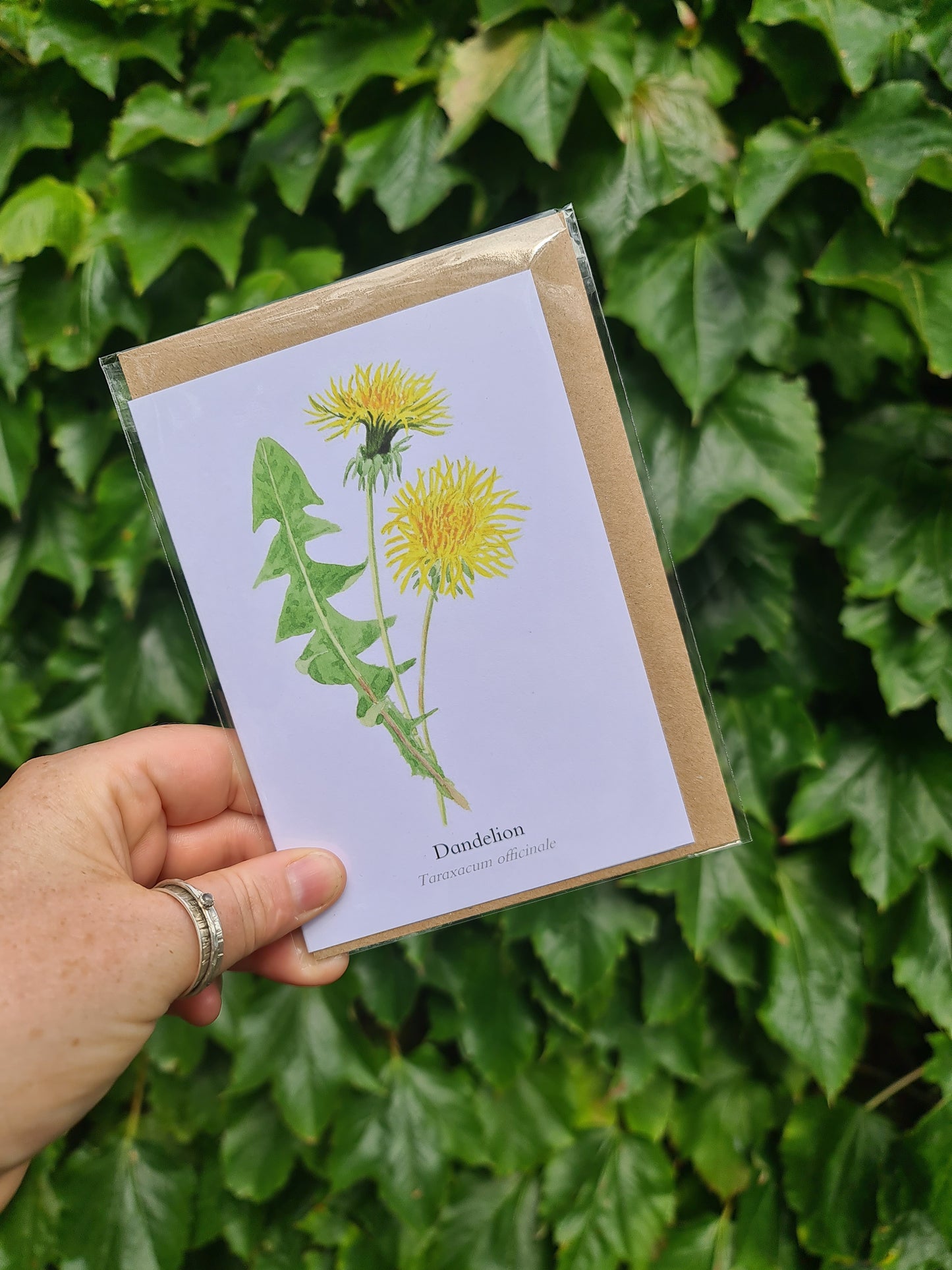 Dandelion - Greetings Card