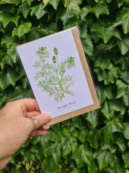 Pineapple Weed - Greetings Card