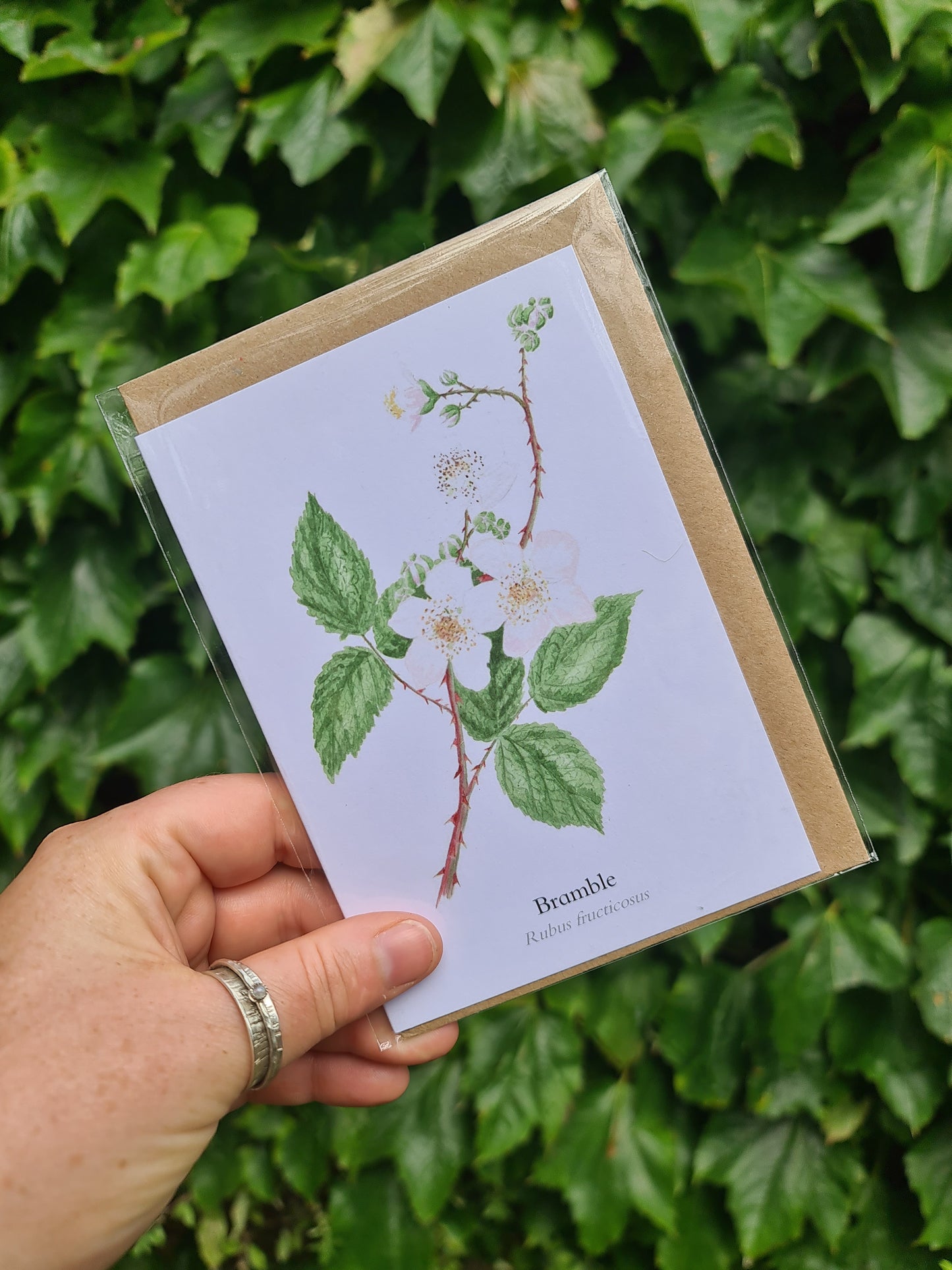 Bramble in Flower - Greetings Card