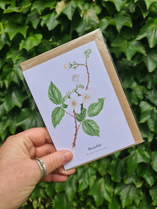 Bramble in Flower - Greetings Card