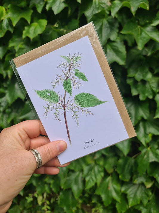Nettle - Greetings Card