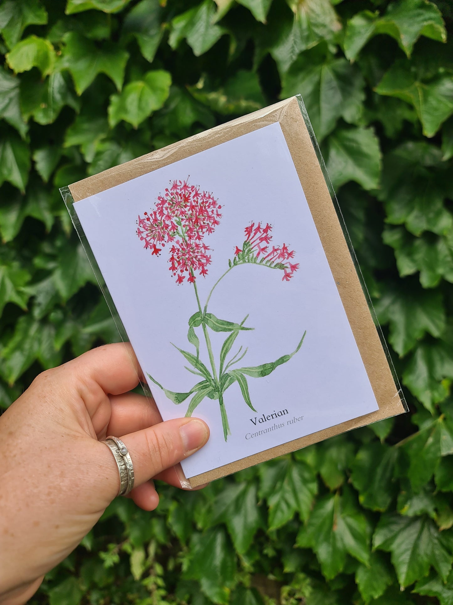 Valerian - Greetings Card