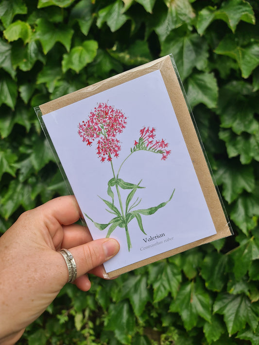 Valerian - Greetings Card