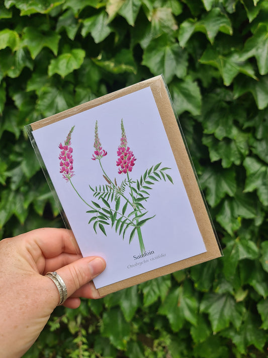 Sainfoin - Greetings Card
