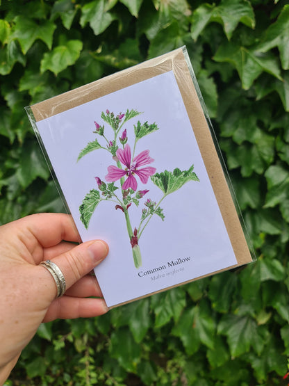 Common Mallow - Greetings Card