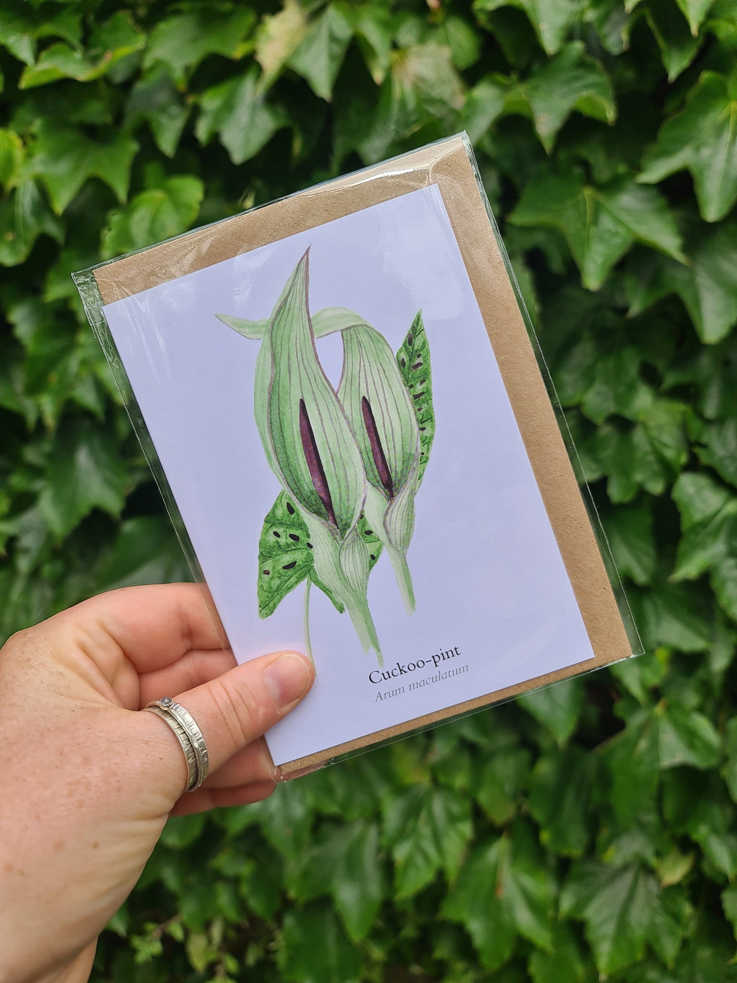 Cuckoo-pint - Greetings Card