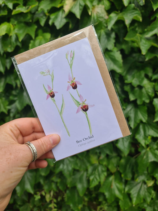 Bee Orchid - Greetings Card