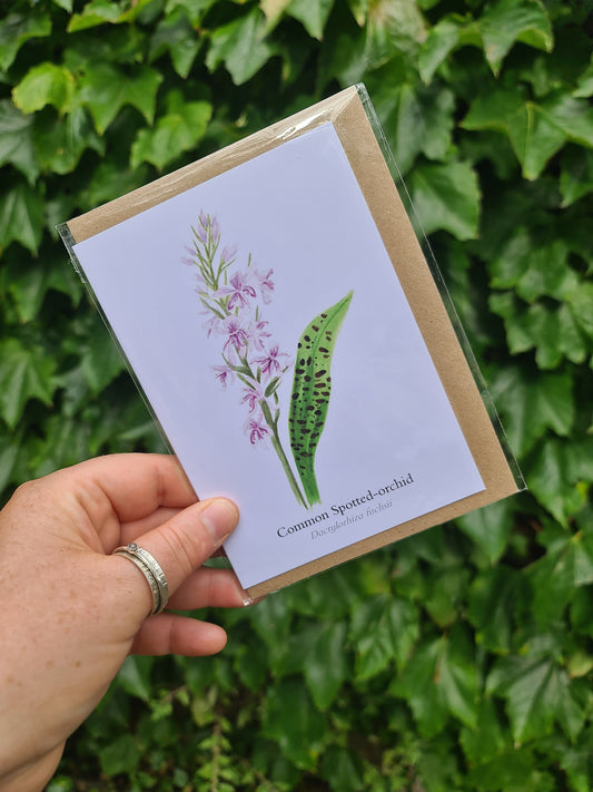 Common Spotted-orchid Greetings Card