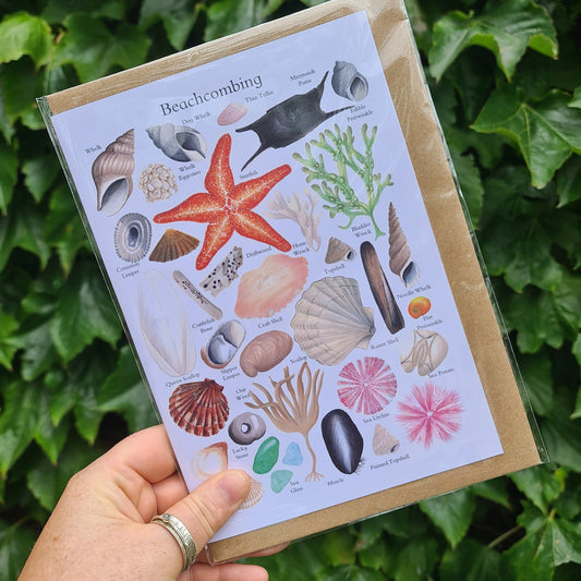 Beachcombing Finds - Greetings Card