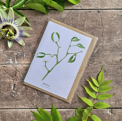 Mistletoe - Greetings Card