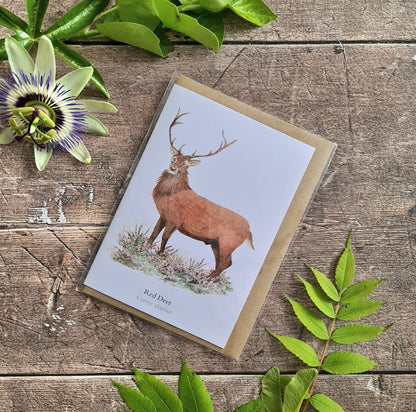 Red Deer - Greetings Card