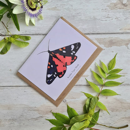 Scarlet Tiger Moth - Greetings Card