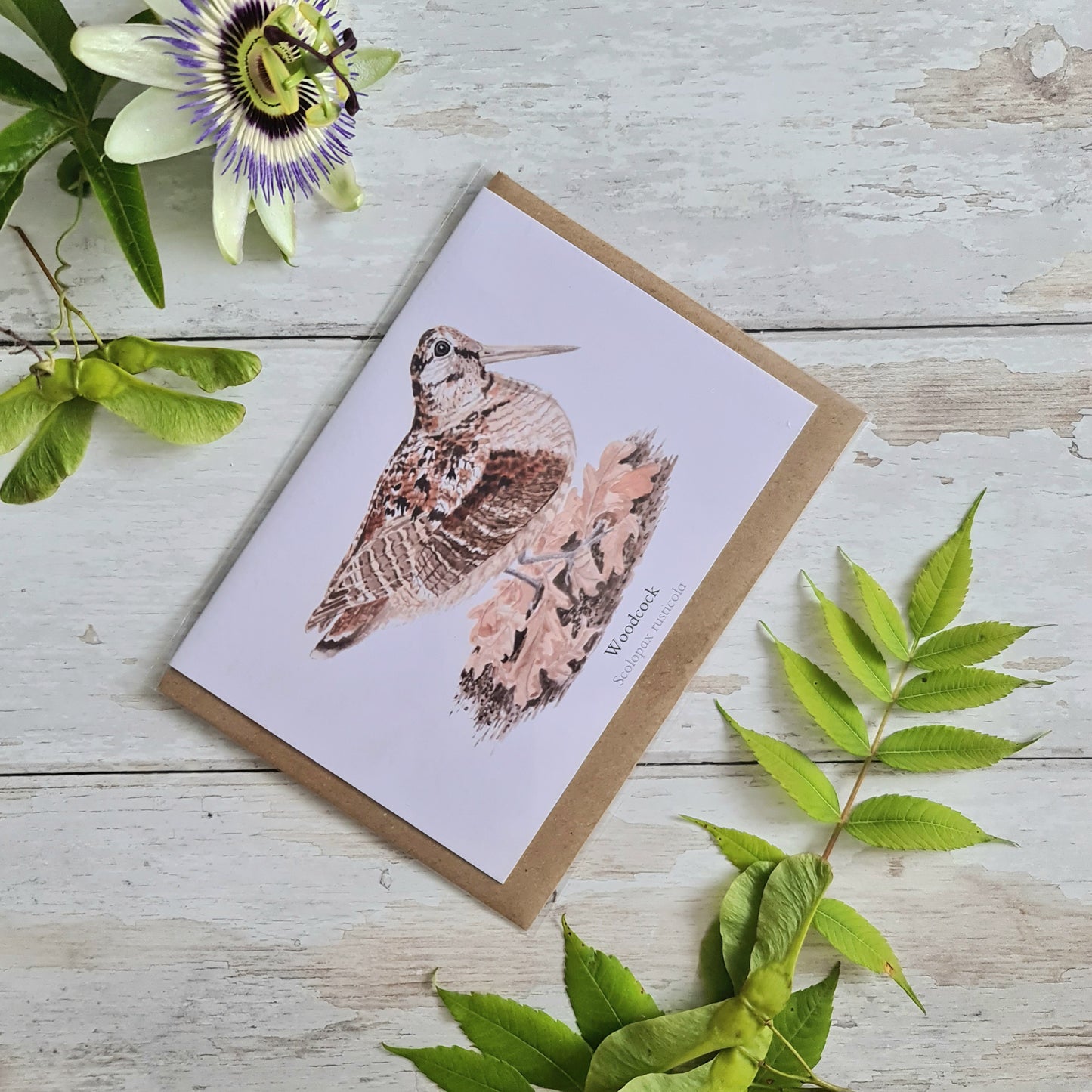 Woodcock - Greetings Card