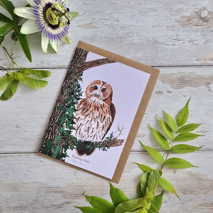 Tawny Owl- Greetings Card